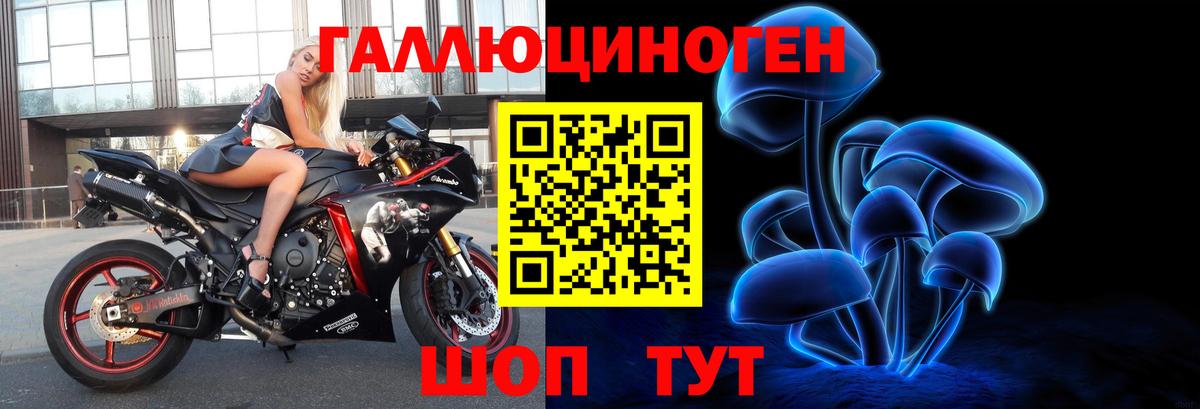 Карачаевск  Псилоцибиновые грибы Cubensis  продажа наркотиков  Вход с VPN 